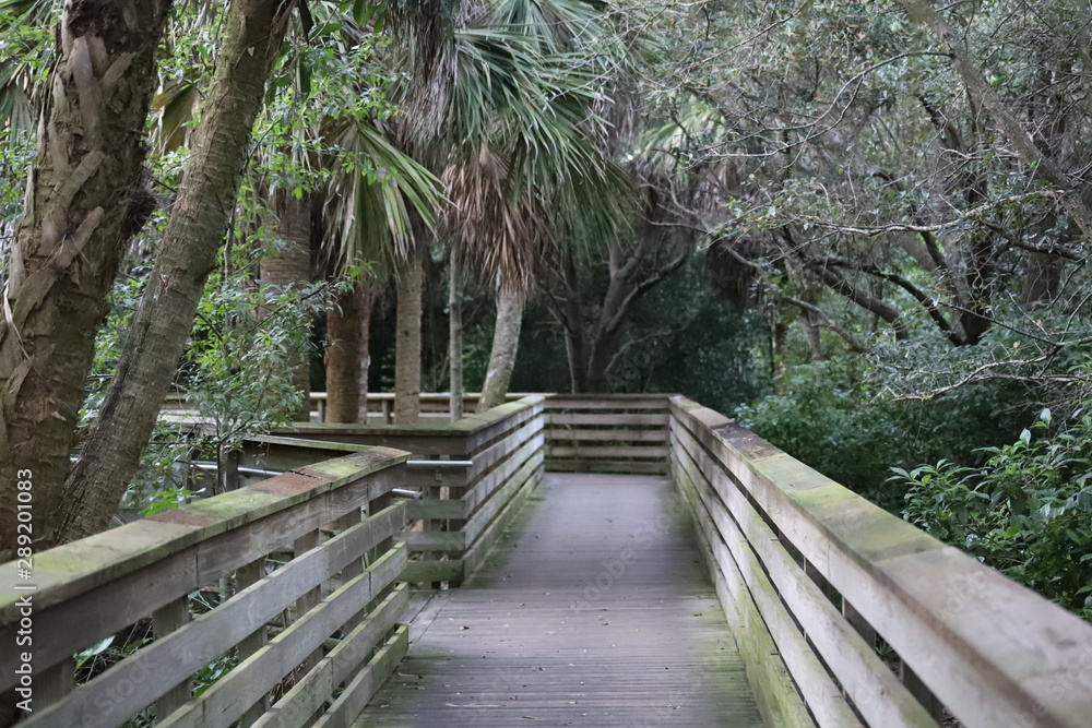 Fototapeta premium Board Walk in the Green Cay Wetland Boynton Beach Florida USA 