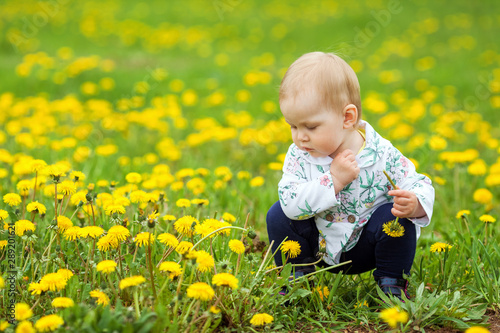 Little cute girl sitting among yellow dandelions and picking flowers in park on a sunny spring day