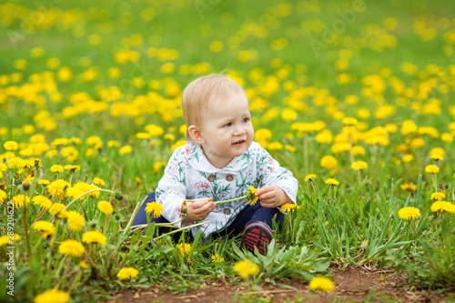 Little cute girl sitting among yellow dandelions and picking flowers in park on a sunny spring day © larisa_bakina
