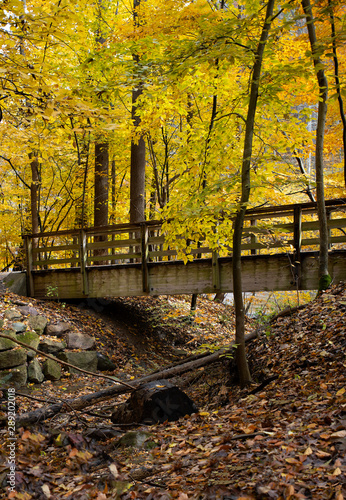 Hiking and Running in the Fall