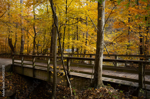 Autumn Hiking and Running