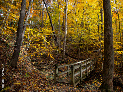 Autumn Trails