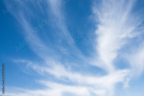 Canvas Print White wispy clouds, blue sky with mountain background