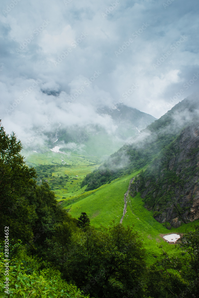 Landscape of Valley of Flowers which is located in the Indian state of Uttrakhand. This picture is captured in the month of June, 2019 Landscape of Valley of Flowers which is located in the Indian state of Uttrakhand. This picture is captured in the month of June, 2019