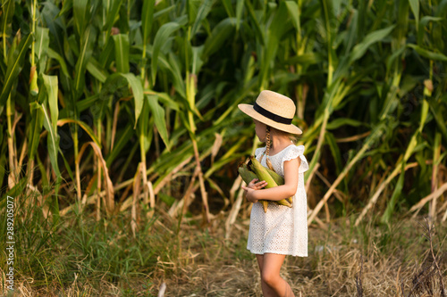 Stylish Little kid in a hat standing in the middle of a corn field. Harvest time. organic agriculture for children. Cute child on a sunny summer day outdoor. Sun light. Happy children day concept