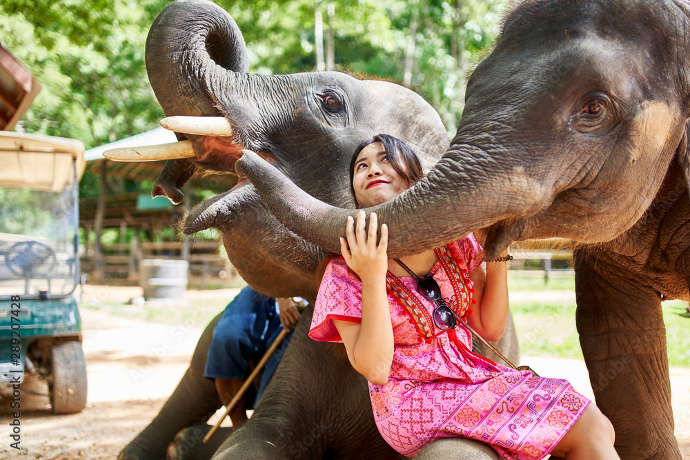 female thai tourist having fun with baby elephant at sanctuary in thailand - obrazy, fototapety, plakaty 