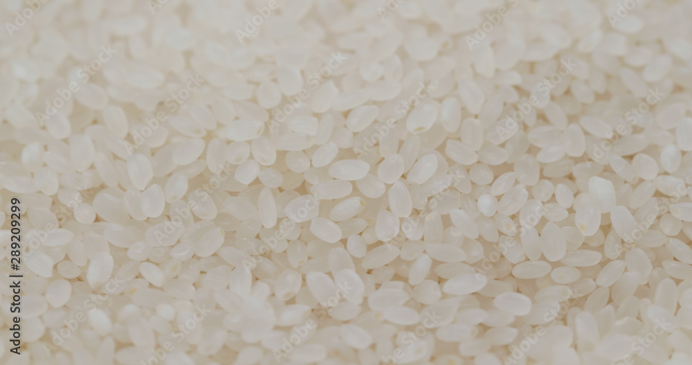 Pile of Rice dried and uncooked Pile of Rice dried and uncooked