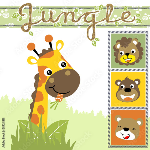 funny animals cartoon, Giraffe eat carrot, lion and bears