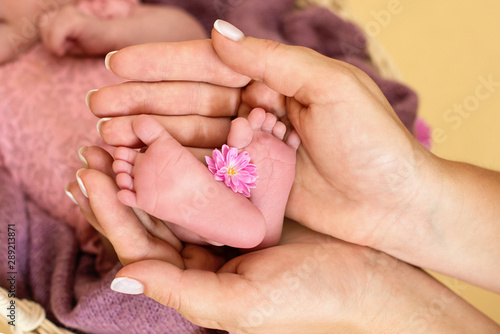  Feet of the newborn baby girl with pink flowers, fingers on the foot, maternal care, love and family hugs, tenderness. 