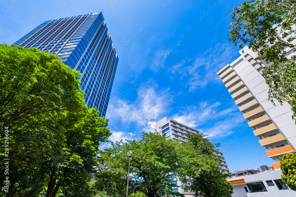 Obraz premium 戸山公園の緑とオフィスビルディングの風景