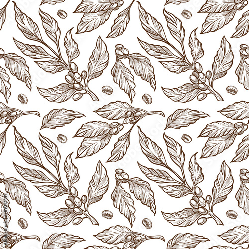 Plant, coffee beans on branch sketch seamless pattern