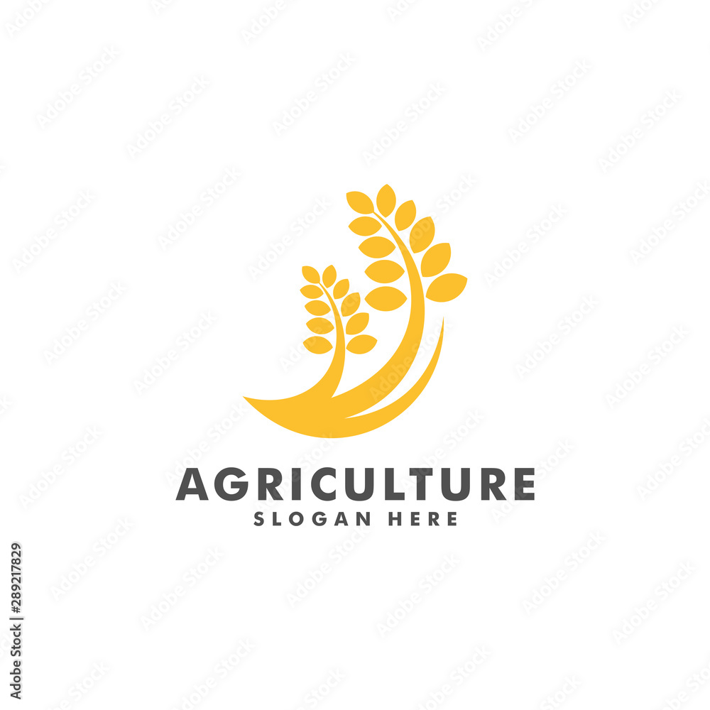 wheat farm logo design, Agriculture icon symbol vector illustration wheat farm logo design, Agriculture icon symbol vector illustration