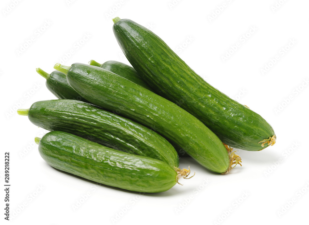 Lebanese Cucumber isolated on white background Lebanese Cucumber isolated on white background