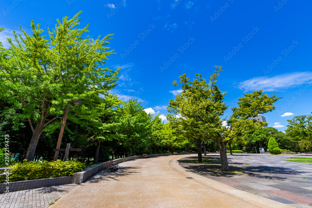 木場公園の風景 木場公園の風景