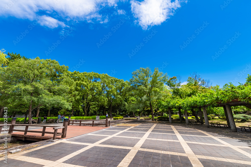 清澄公園の風景 清澄公園の風景