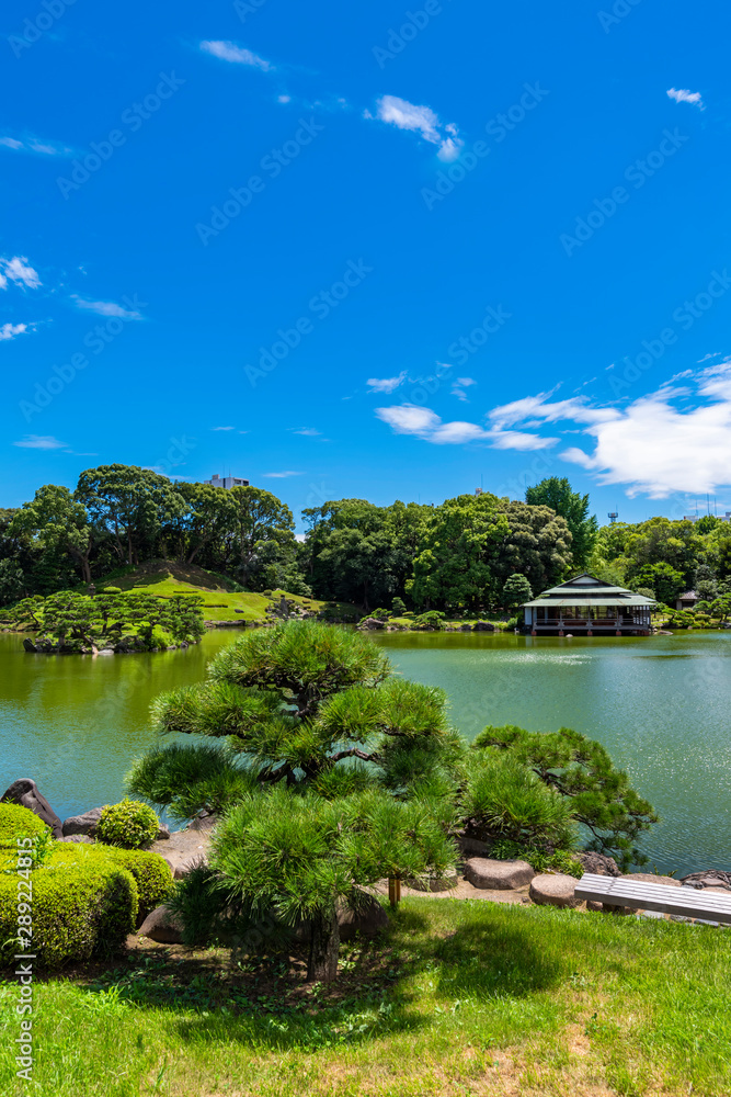 Obraz premium 清澄庭園の風景