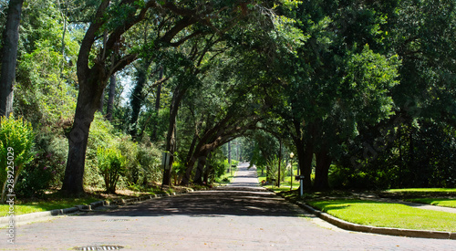 Along the brick road