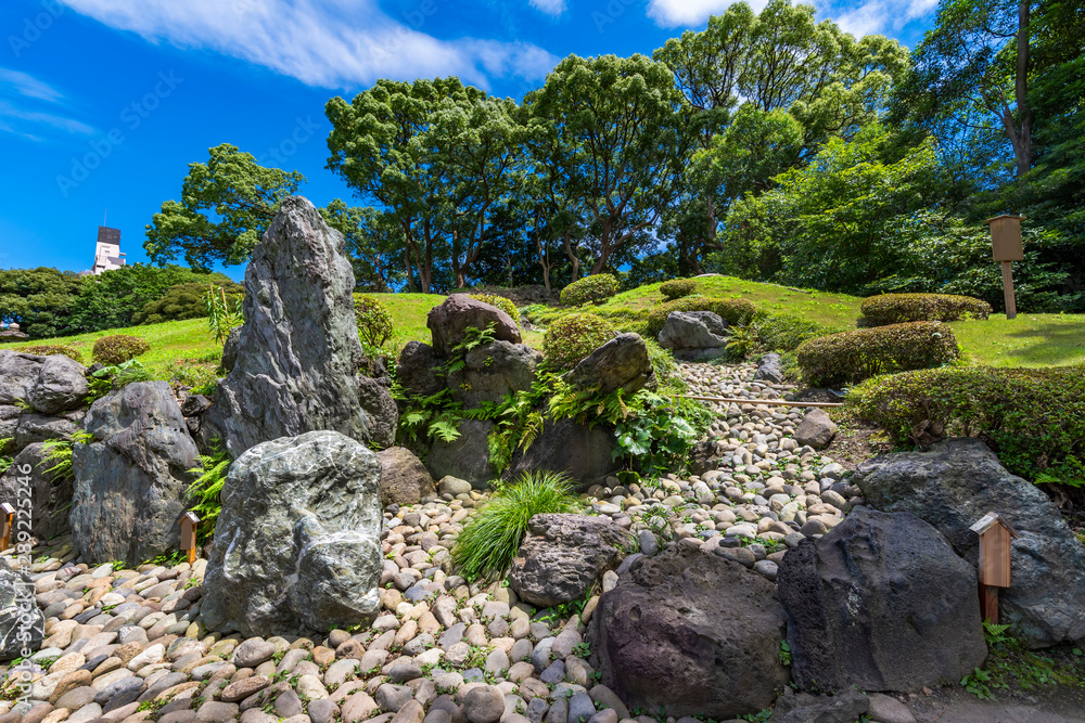 清澄庭園の磯石