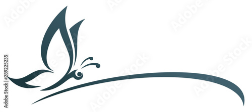 A symbol of the blue stylized butterfly.