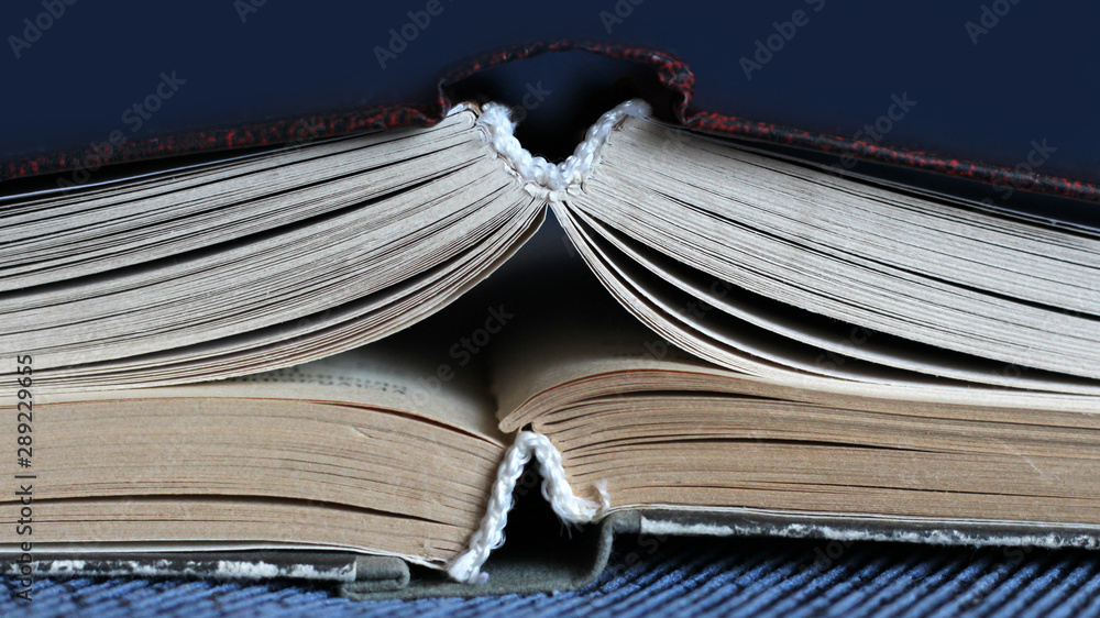 Naklejka premium Two open books on the blue sofa