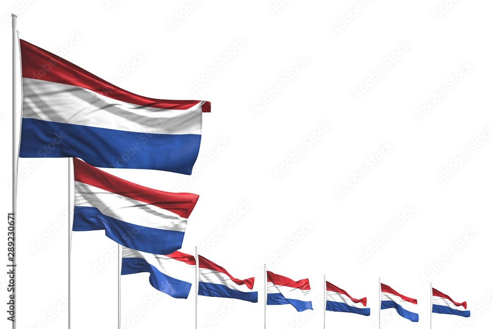 Naklejka premium wonderful many Netherlands flags placed diagonal isolated on white with space for content - any occasion flag 3d illustration..