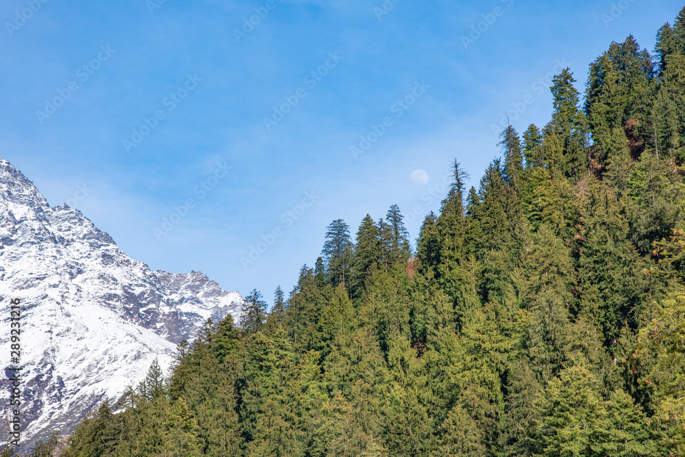 Fototapeta premium snow and green mountains with moon at blue sky