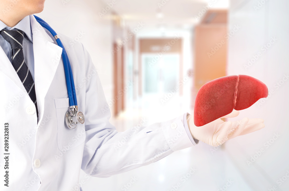 Naklejka premium doctor cure 3D liver , concept fatty liver 