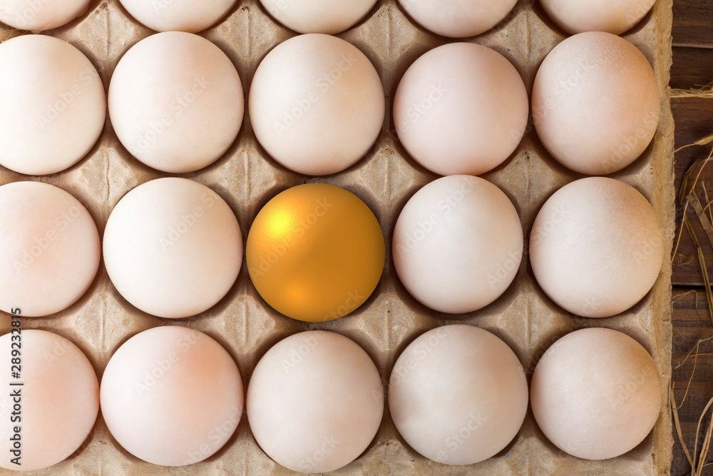 invest in gold egg , concept risk investment in trading asset invest in gold egg , concept risk investment in trading asset