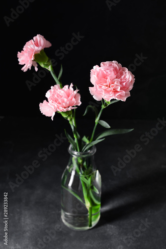 Vase with beautiful carnation flowers on dark background