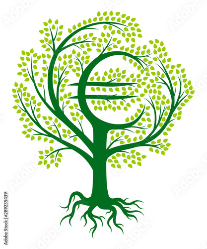 Euro money tree