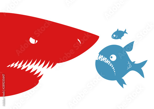 Big fish small fish and shark