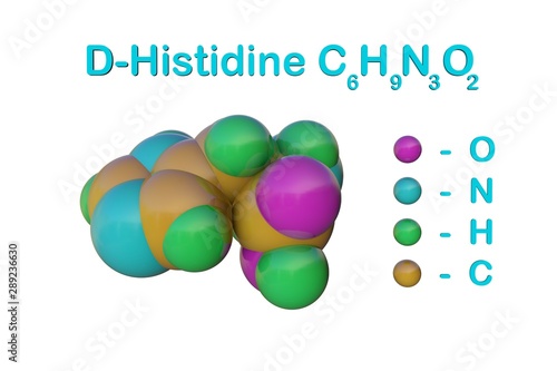 Structural chemical formula and molecular model of d-histidine, an optically active form of histidine havind D-configuration. Medical background. Scientific background. 3d illustration photo