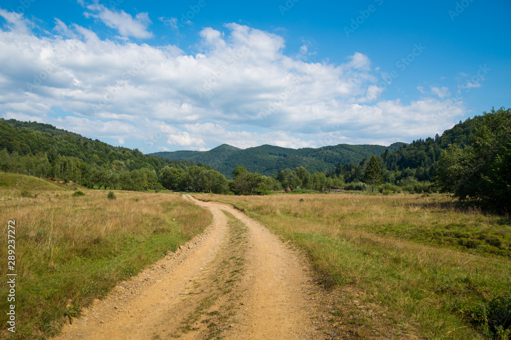 dirt road among grass and trees in the mountains, Carpathians, background, landscape