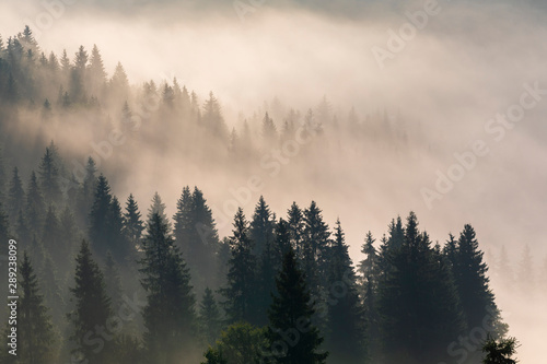 Misty dawn in the mountains. Beautiful Autumn Landscape © Anton Petrus
