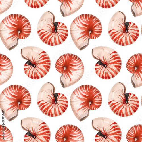 Watercolor sea life nautilus shell vector pattern