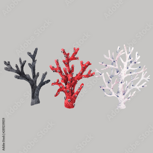 Watercolor sea life coral vector set