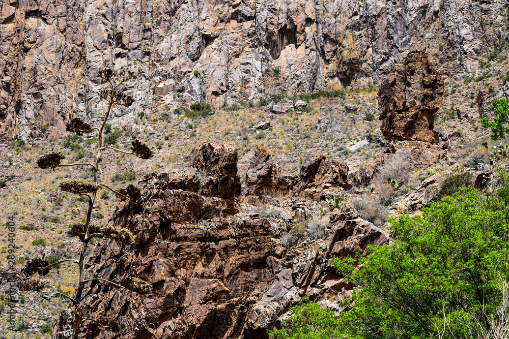 West Texas West Texas