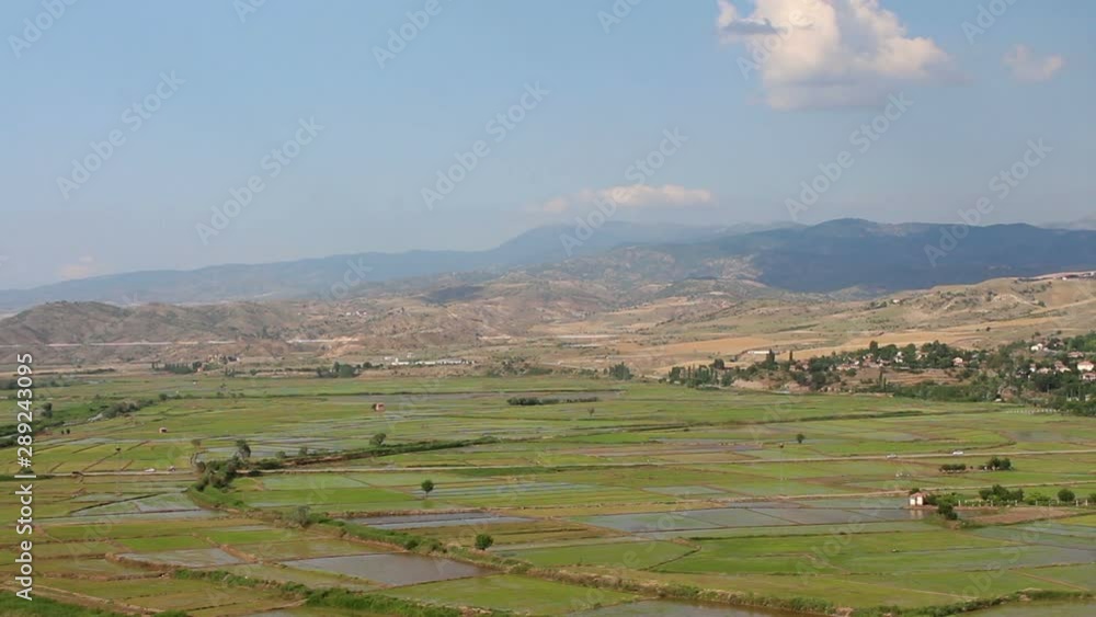 rice fields top view HD 1080 rice fields top view HD 1080