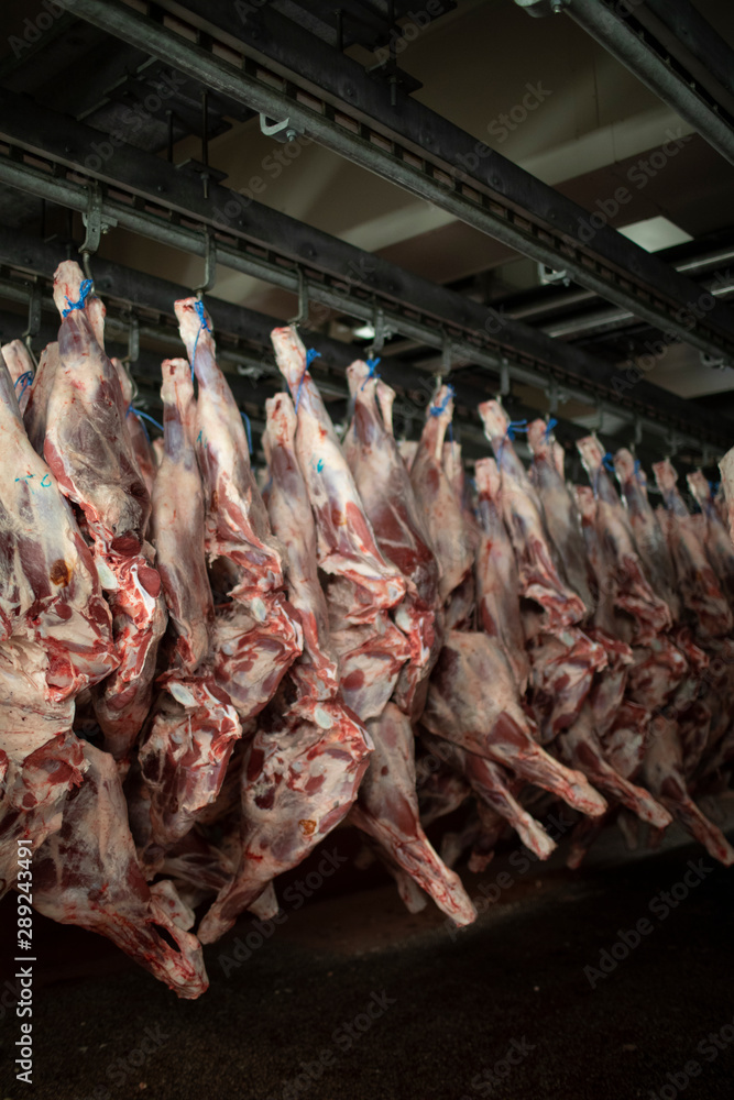 Fleisch Fleisch