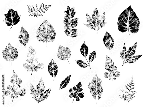 Stamp leaves