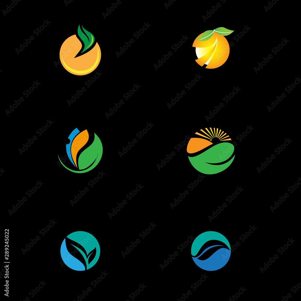 nature business logo vector image