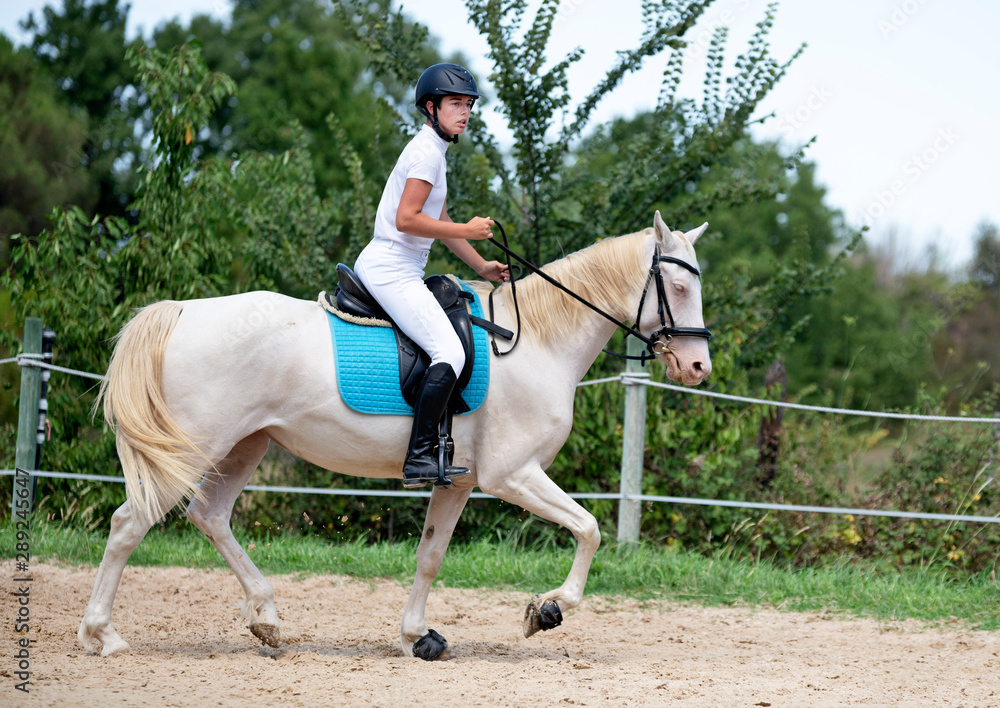 riding girl and horse riding girl and horse
