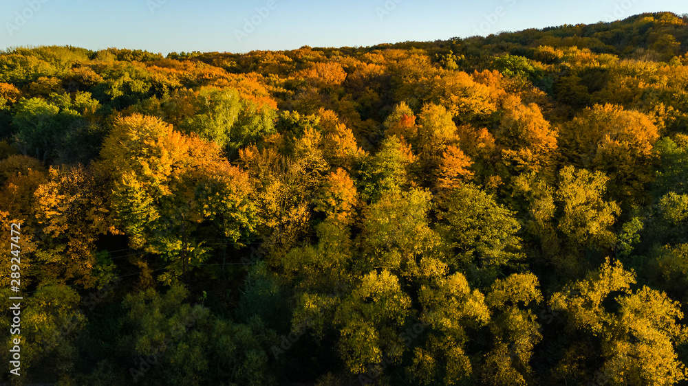 Golden autumn background, aerial drone view of forest with yellow trees and beautiful lake landscape from above, Kiev, Goloseevo forest, Ukraine Golden autumn background, aerial drone view of forest with yellow trees and beautiful lake landscape from above, Kiev, Goloseevo forest, Ukraine