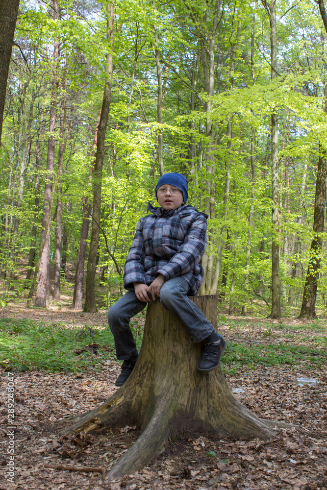 Fototapeta premium boy in the forest on a stump,boy in glasses sits on old stump in forest