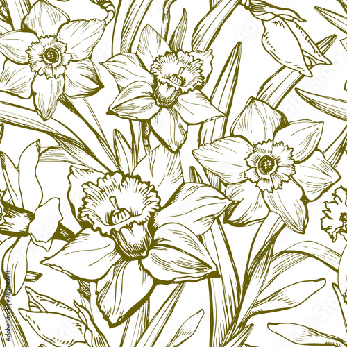 Narcissus flower. Floral botanical monochrome seamless pattern with contours drawing of flowers. Hand Drawn Floristic Elements for textele design  Can be used for fabric  postcard  wallpaper package.