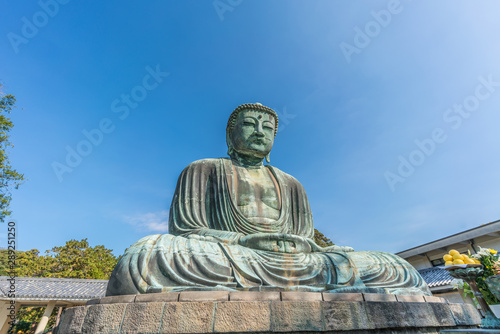 Monumental outdoor bronze statue The Great Buddha in Kamakura, Japan. Wide angle view with clear blue sky 