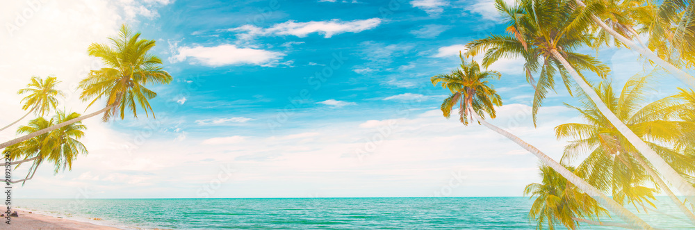  Beaches in Thailand in the summer and coconut trees