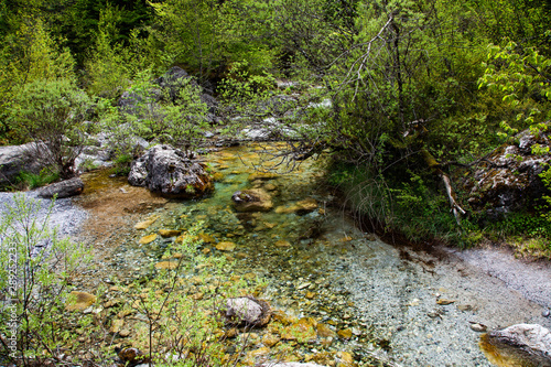 mountain river in Greece