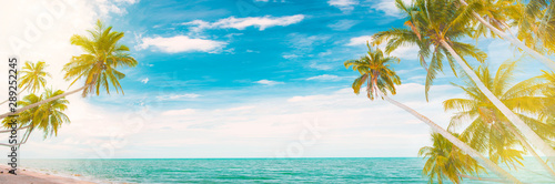  Beaches in Thailand in the summer and coconut trees