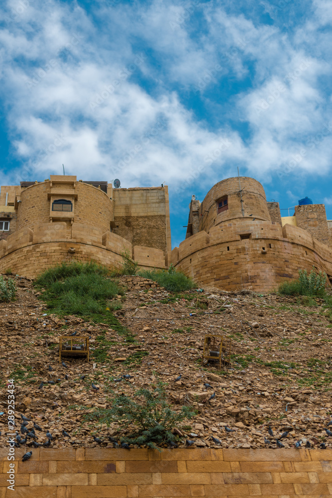 Pigeons at Jaisalmer Fort - The Golden City of Rajasthan